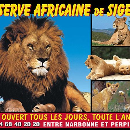 Le Mieukerien - Reserve Africaine 15 Mn, Plage 200M, Terrasse Port-la-Nouvelle Exteriér fotografie