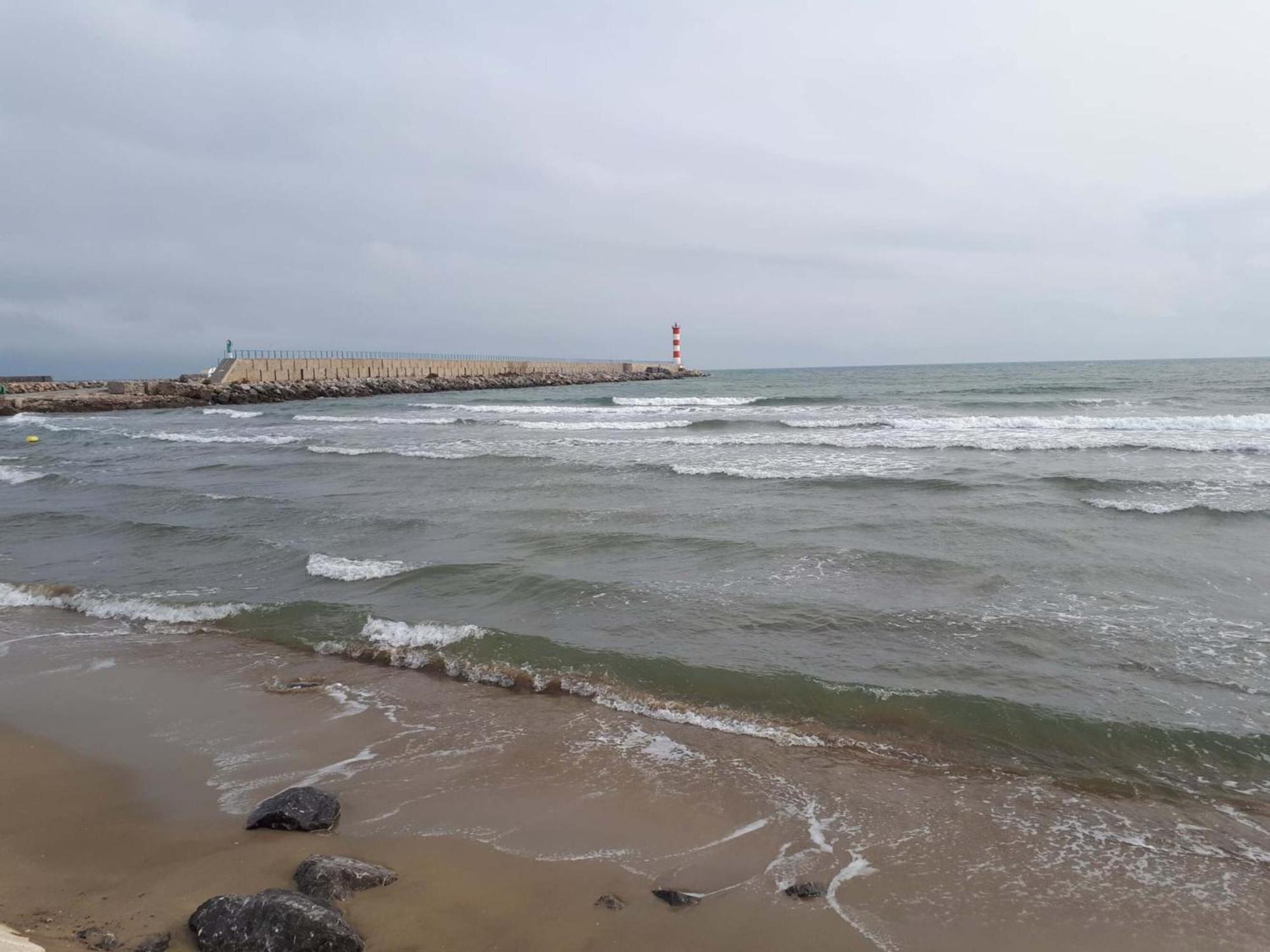 Le Mieukerien - Reserve Africaine 15 Mn, Plage 200M, Terrasse Port-la-Nouvelle Exteriér fotografie