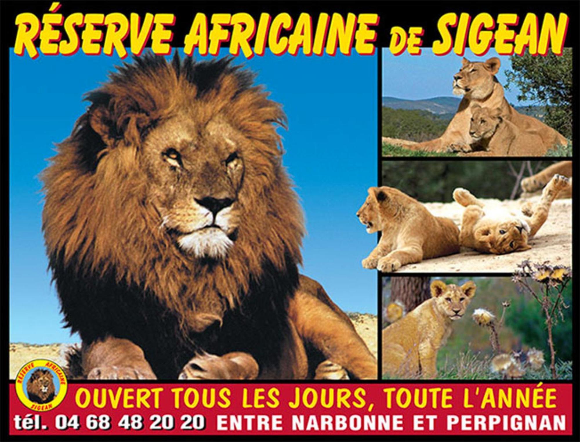 Le Mieukerien - Reserve Africaine 15 Mn, Plage 200M, Terrasse Port-la-Nouvelle Exteriér fotografie